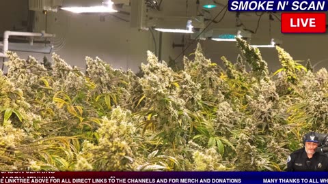 LIVE POLICE CHASE NOW ! #LIVE #POLICECHASE