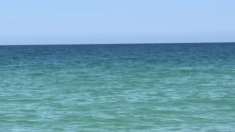 Cúrcuma Jinebre Ajo Lima o Limon y Canela Dosis y Combinación