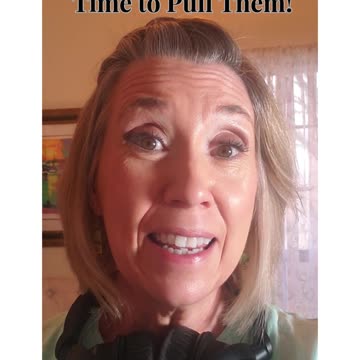 Is Your Marriage Overgrown?