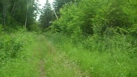 Random Rants Part 2 Lady Gaga And Max 1o.49