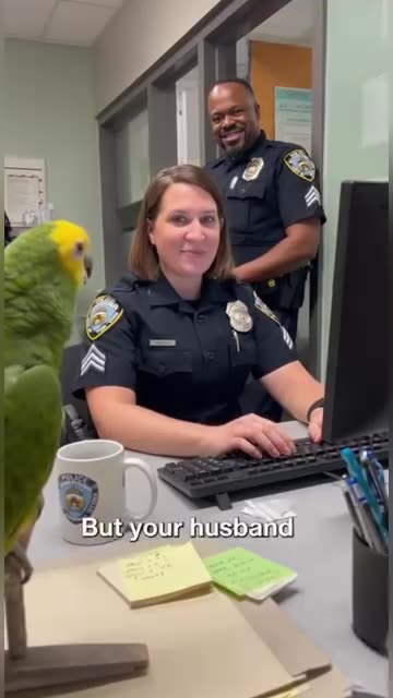 Parrot 🦜 funny video funny 😁 talk