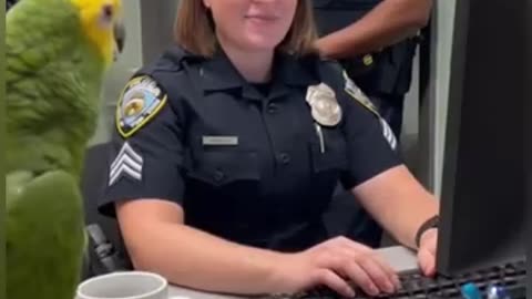 Parrot 🦜 funny video funny 😁 talk