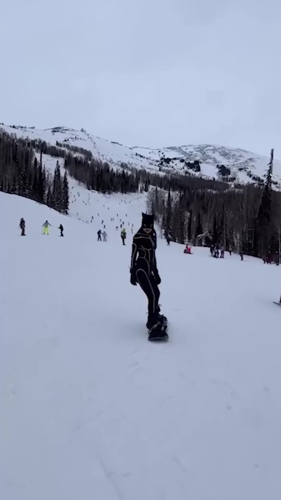 Tv - Entertainment, AMAZING 🔥 Top Videos You Have to See to Believe 💯