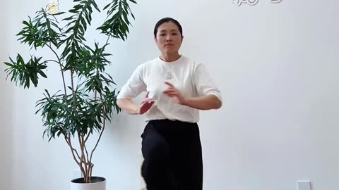 644.晃樁開胯