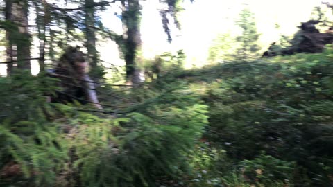 Our lives are all about mushrooms right now!🤩🍄