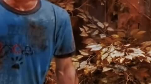 4 celebrities who now work normal jobs