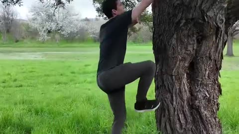 HOW TO_ Safely climb a tree