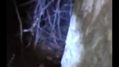 😱👻 Chilling Ghostly Encounter on Camera - You Won't Believe It! | TheHauntingHour