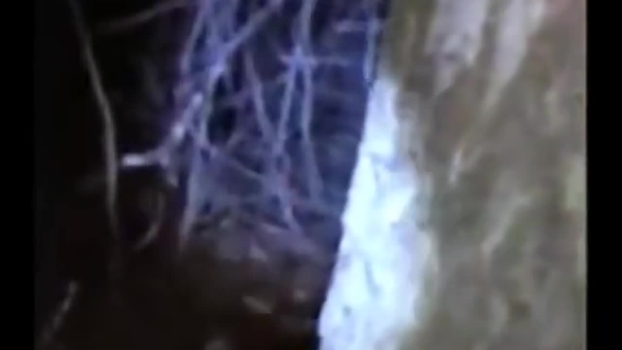 😱👻 Chilling Ghostly Encounter on Camera - You Won't Believe It! | TheHauntingHour