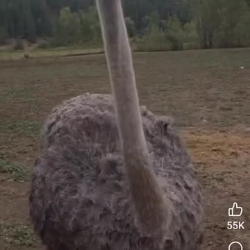 Is she asking a "right guy"?