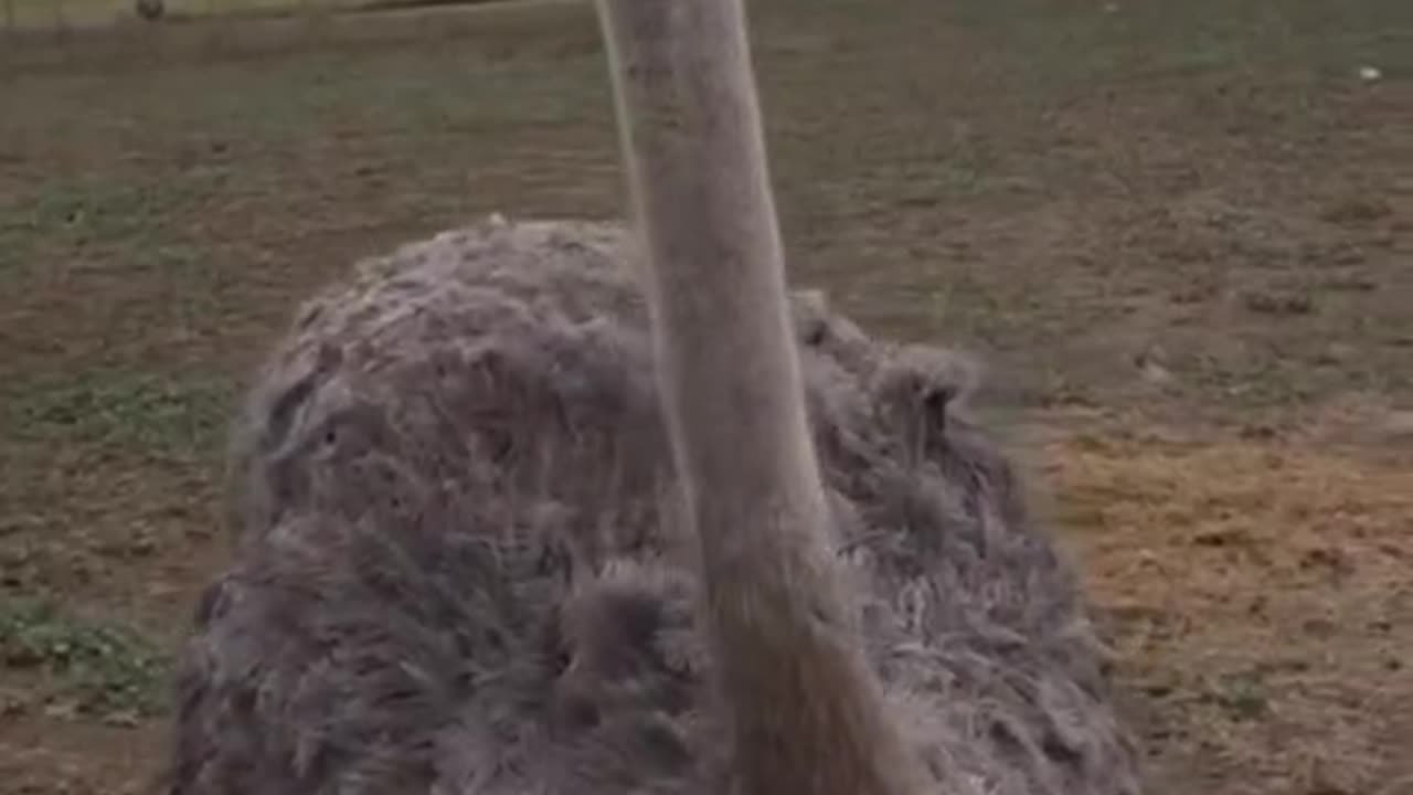 Is she asking a "right guy"?