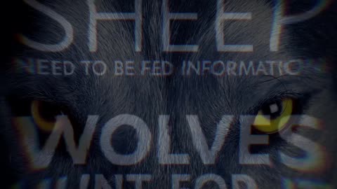 Sheep and Wolves