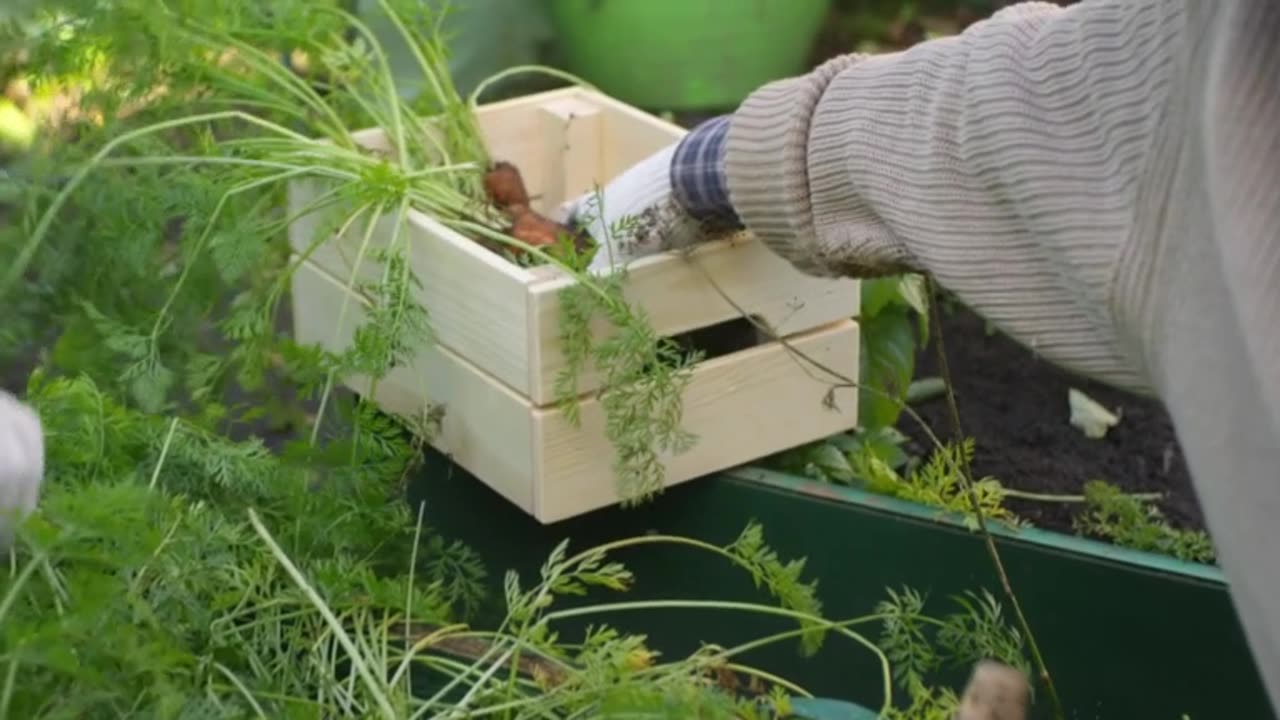 IW Archives 2022 Jan 12