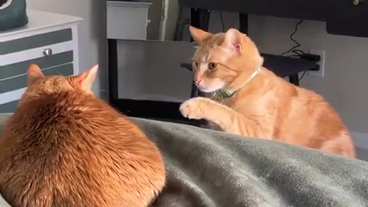 Acting like the victim after 🤣😭