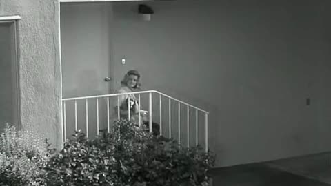 Whatever happened to baby Jane? 1962