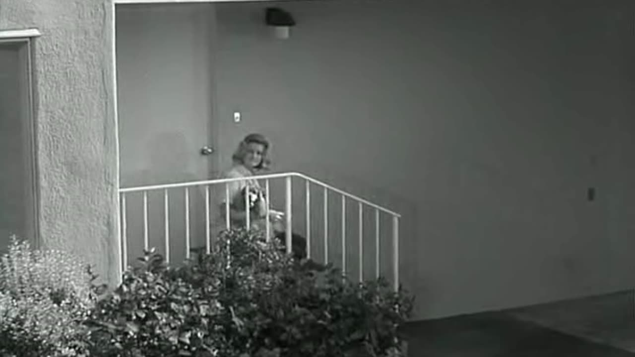 Whatever happened to baby Jane? 1962