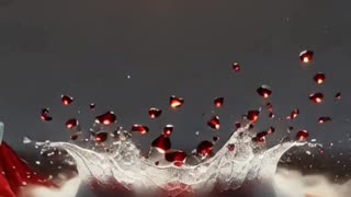 I’m ashamed to be Canadian — Canada is broken!