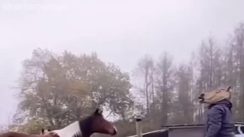 Try not to laugh ❗