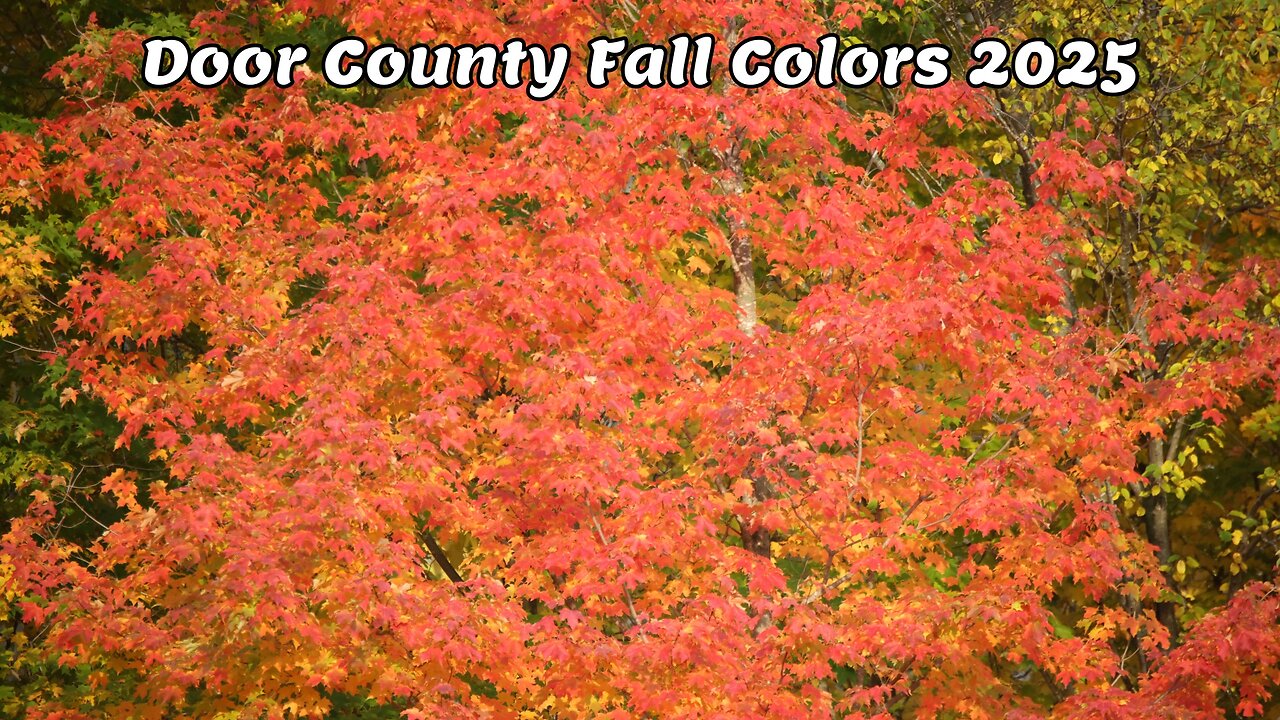 Door County Fall Colors 2025