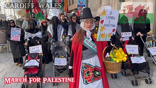 March For Palestinian, Cardiff South Wales