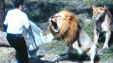 🦁 Man Survives Lion Attack 😱 Real Jungle Encounter | Heart-Stopping Escape 🌿