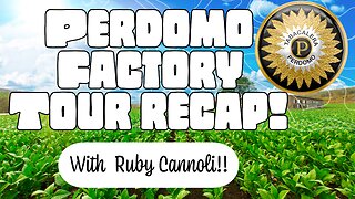 Perdomo Factory Tour Recap With Ruby Cannoli