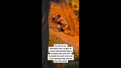 Homeless Man Was Giving This Dog A Birthday Celebration