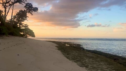 Evening walk on the beach 🏖️