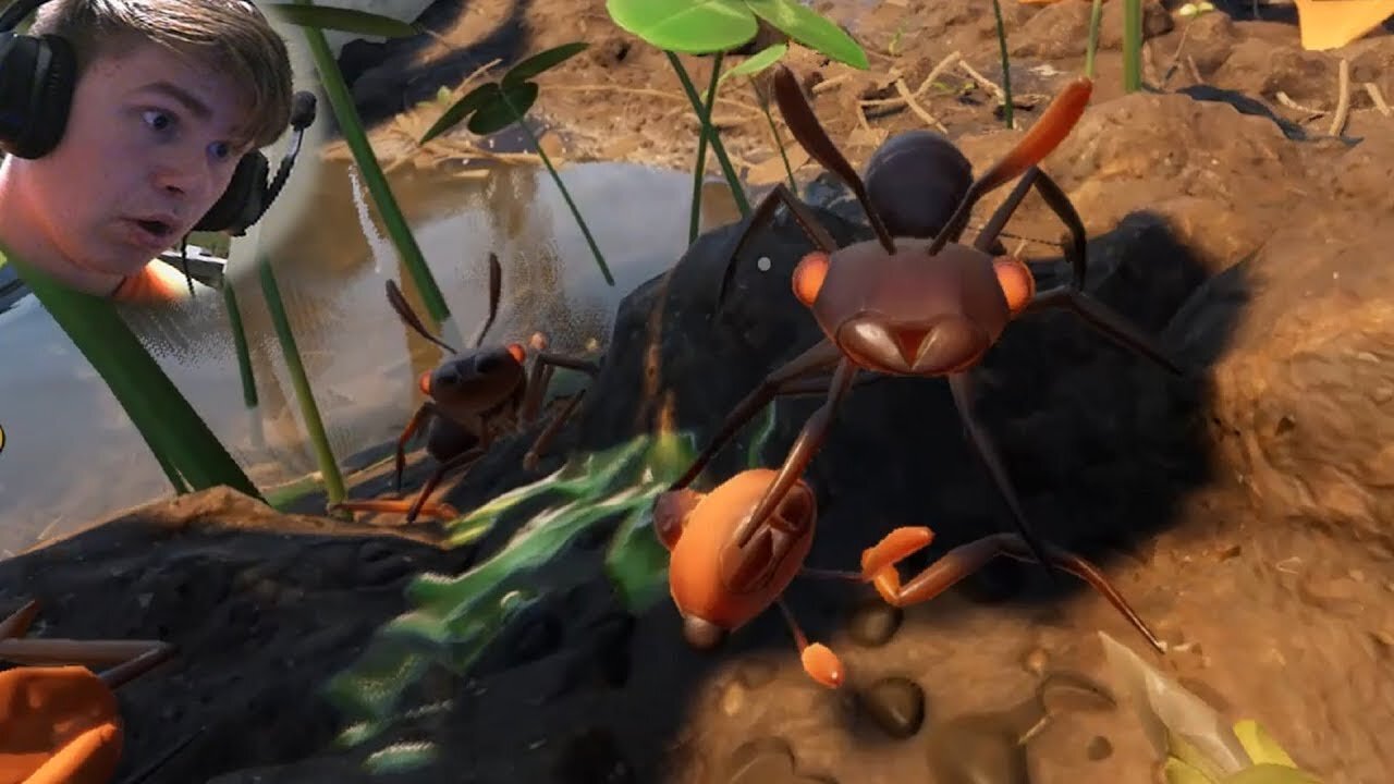 INSECTS HATE ME! (legit got attacked by everything..) | Grounded (8/14/2020)