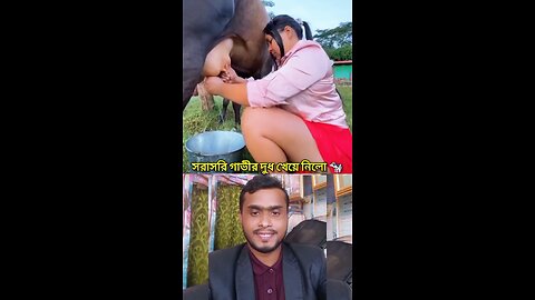 সরাসরি গাভীর দুধ খেয়ে নিলো 🫣🔥💯 #shorts #viral #funny #amazing #foryou