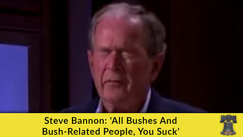 Steve Bannon: 'All Bushes And Bush-Related People, You Suck'