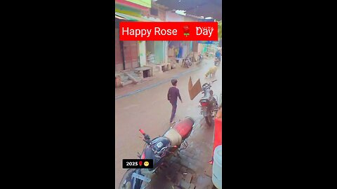 Happy rose 🌹 day