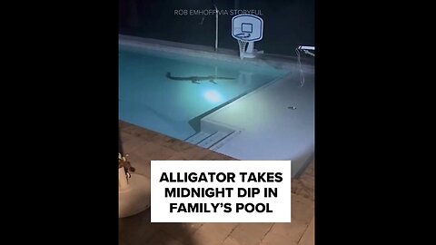 Whoa... Alligator taking a dip in home owners backyard pool. Florida professionals called in