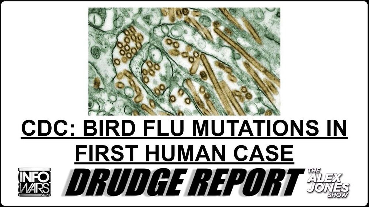 It's Official: The Democrat Controlled NIH/CDC Are Trying To Launch New Pandemic Hysteria