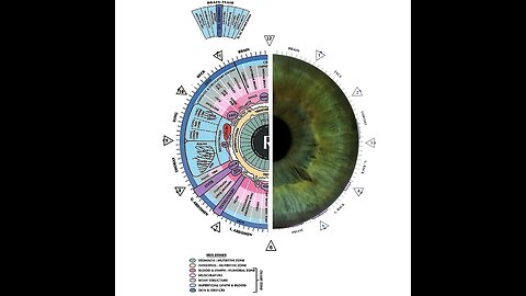 The Mirrors of The Soul-Iridology With Andrew Mason