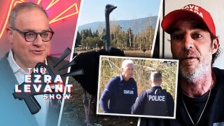 Independent journalist provides update on potential looming cull at Universal Ostrich Farms