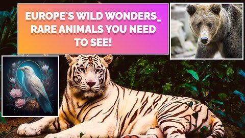 Europe's Wild Wonders_ Rare Animals You need to see!