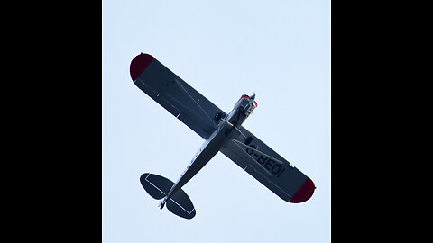 WINGED FLYING MONKEY ADRIAN LOENING OVERHEAD GROUND LEVEL UNSAFE FLY REPORTED