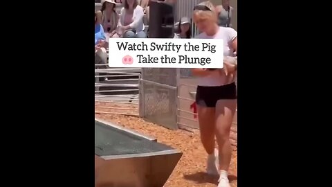 Swifty the Pig Takes a Plunge