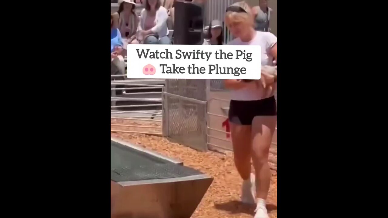 Swifty the Pig Takes a Plunge