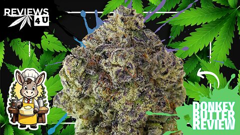 DONKEY BUTTER (STRAIN REVIEW) | REVIEWS 4 U