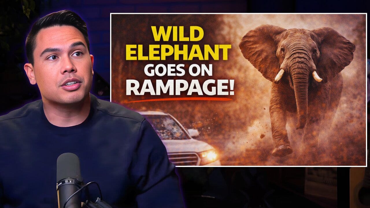 WILD ELEPHANT goes on a Rampage!