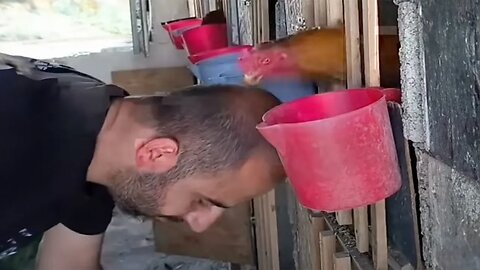 New Funny Animals 😂 Funniest Cats and Dogs Videos 😺🐶 Part 162