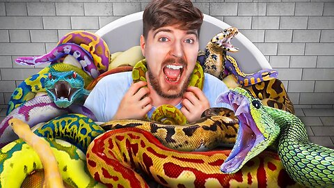 "Would You Sit in Snakes for $10,000? (Crazy Challenge!)"