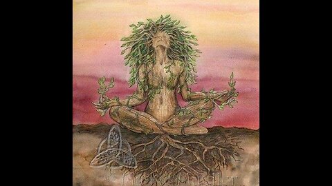 Renacer 8. Enraizamiento