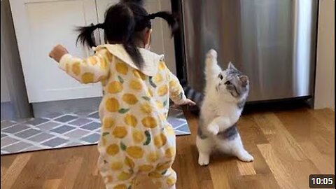 Cats That Deserve an Oscar 🤯🤣🐾