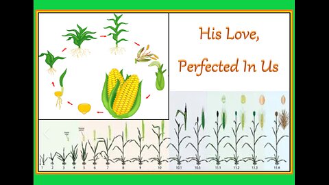 HIS LOVE PERFECTED IN US #717 VPW