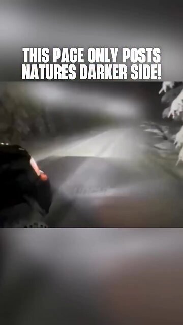 Alone in the Snow — Nature’s Dark Side Reveals Itself”