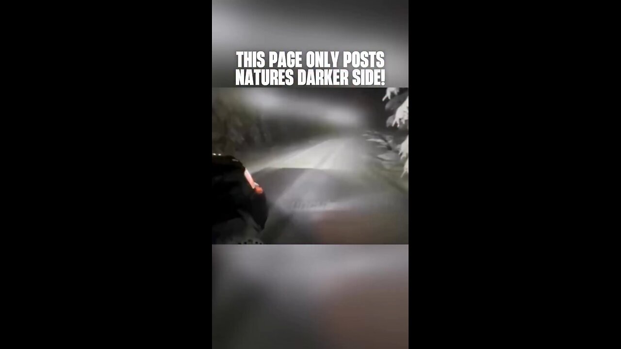 Alone in the Snow — Nature’s Dark Side Reveals Itself”