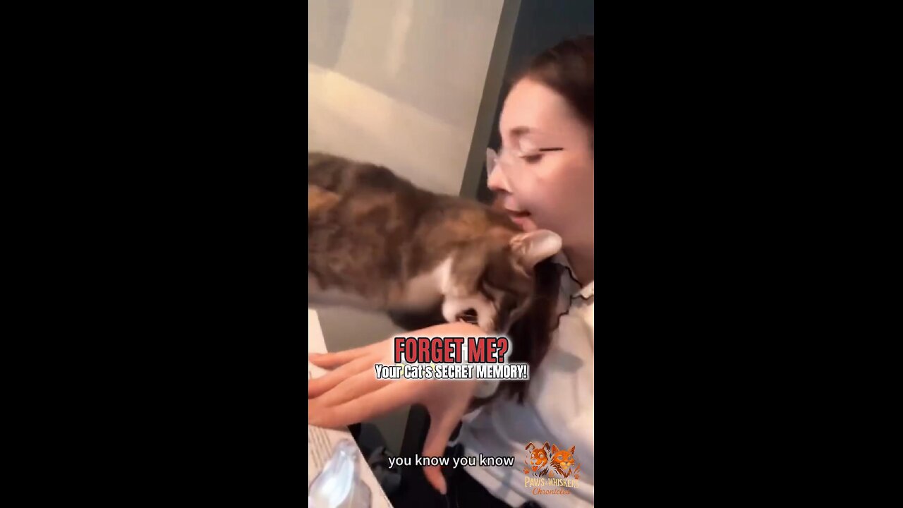 Do Cats Remember Their Owners? The Truth Behind ‘Cat-nesia’